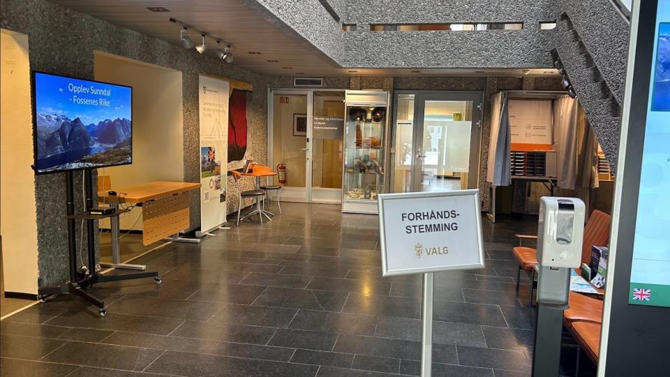 Lenke til artikkel: Se video: Slik stemmer du!