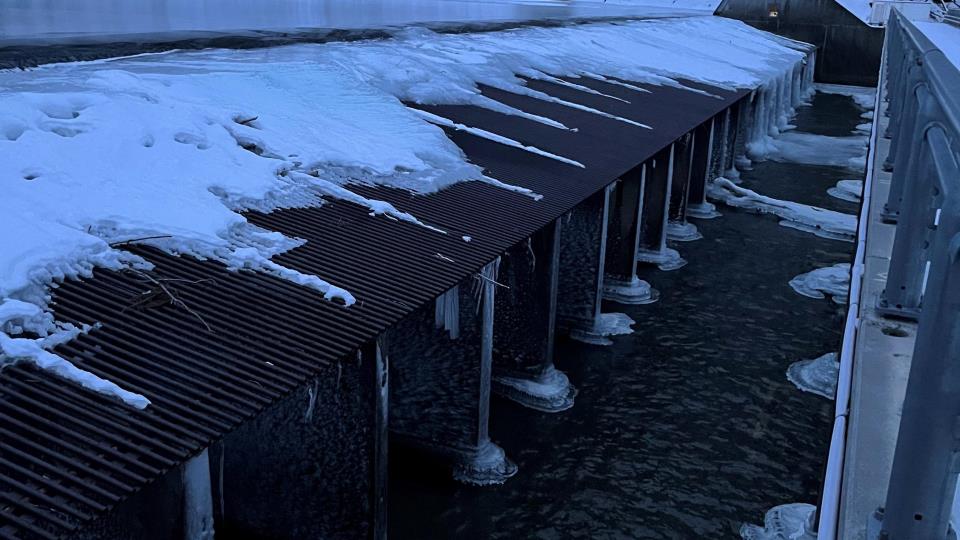 Lenke til artikkel: Tilsyn på fiskesperra