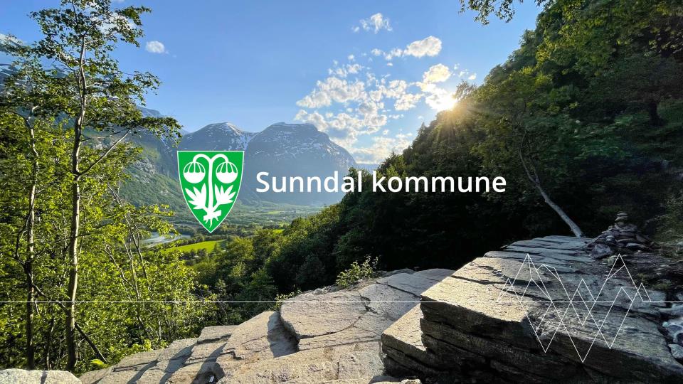 Lenke til artikkel: Stortingsvalget 2017