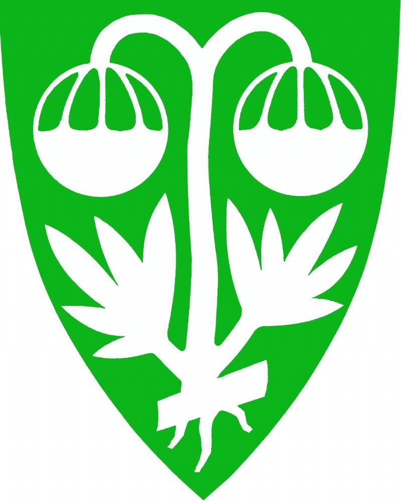Kommunevåpen for Sunndal kommune - Klikk for stort bilde
