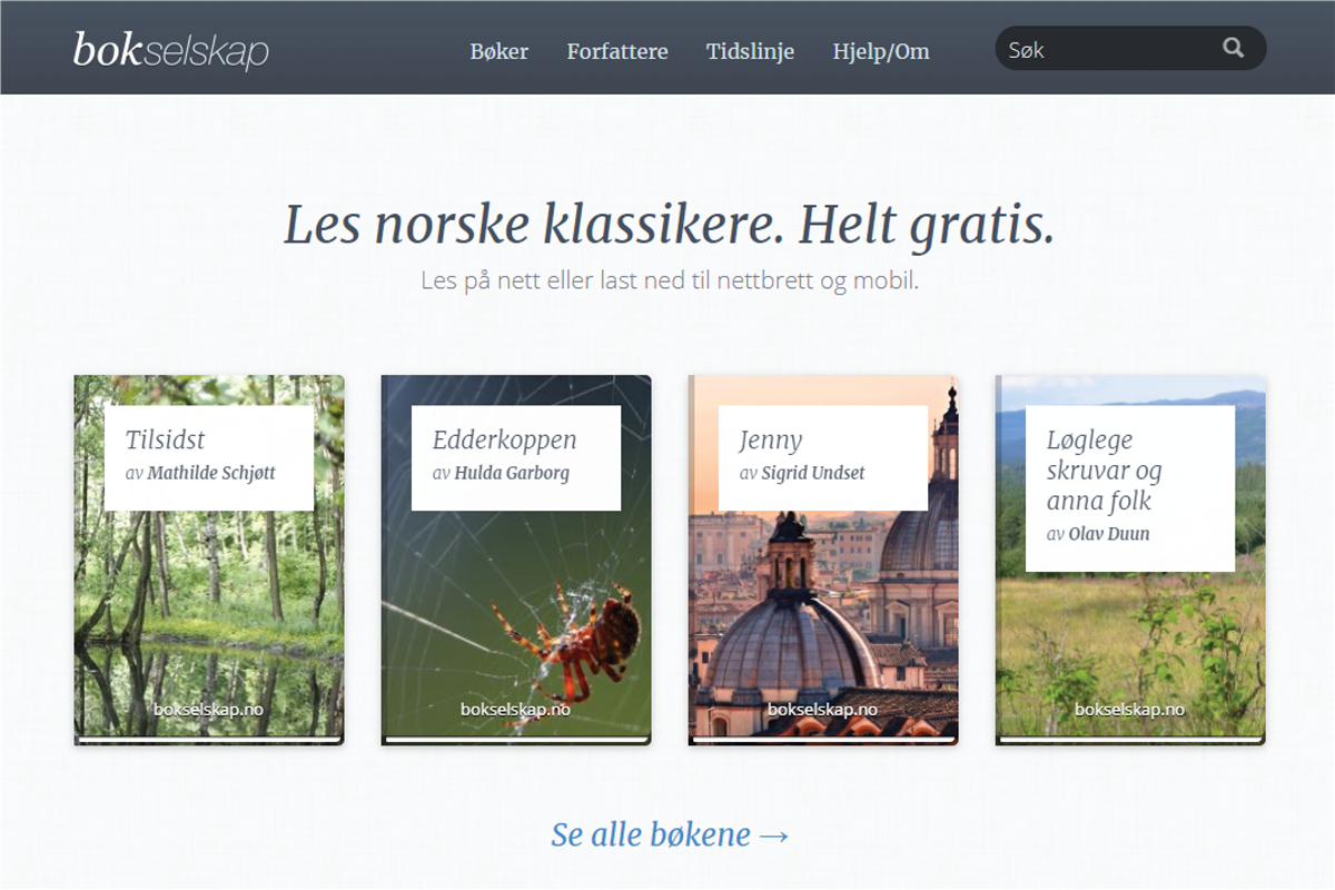 Skjermdump frå bokselskap.no